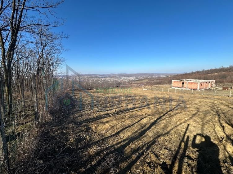 Teren interval Vladiceni - Poză 6