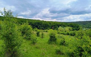 Oportunitate de investiție – 4 parcele în Corunca, 20 €/mp - Poză 5