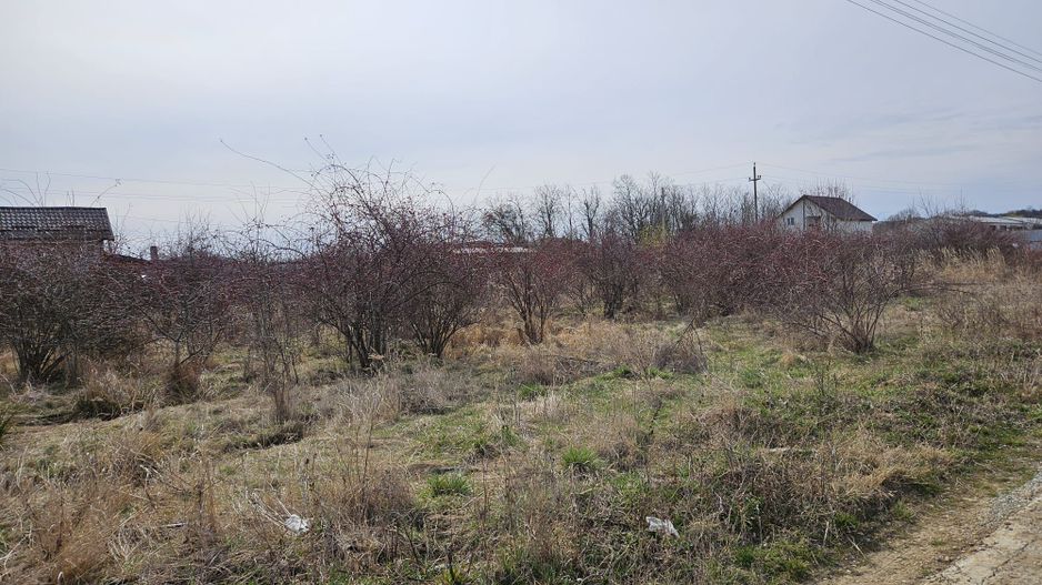 Teren intravilan 882 mp, Smeura - Hintesti - Poză 9