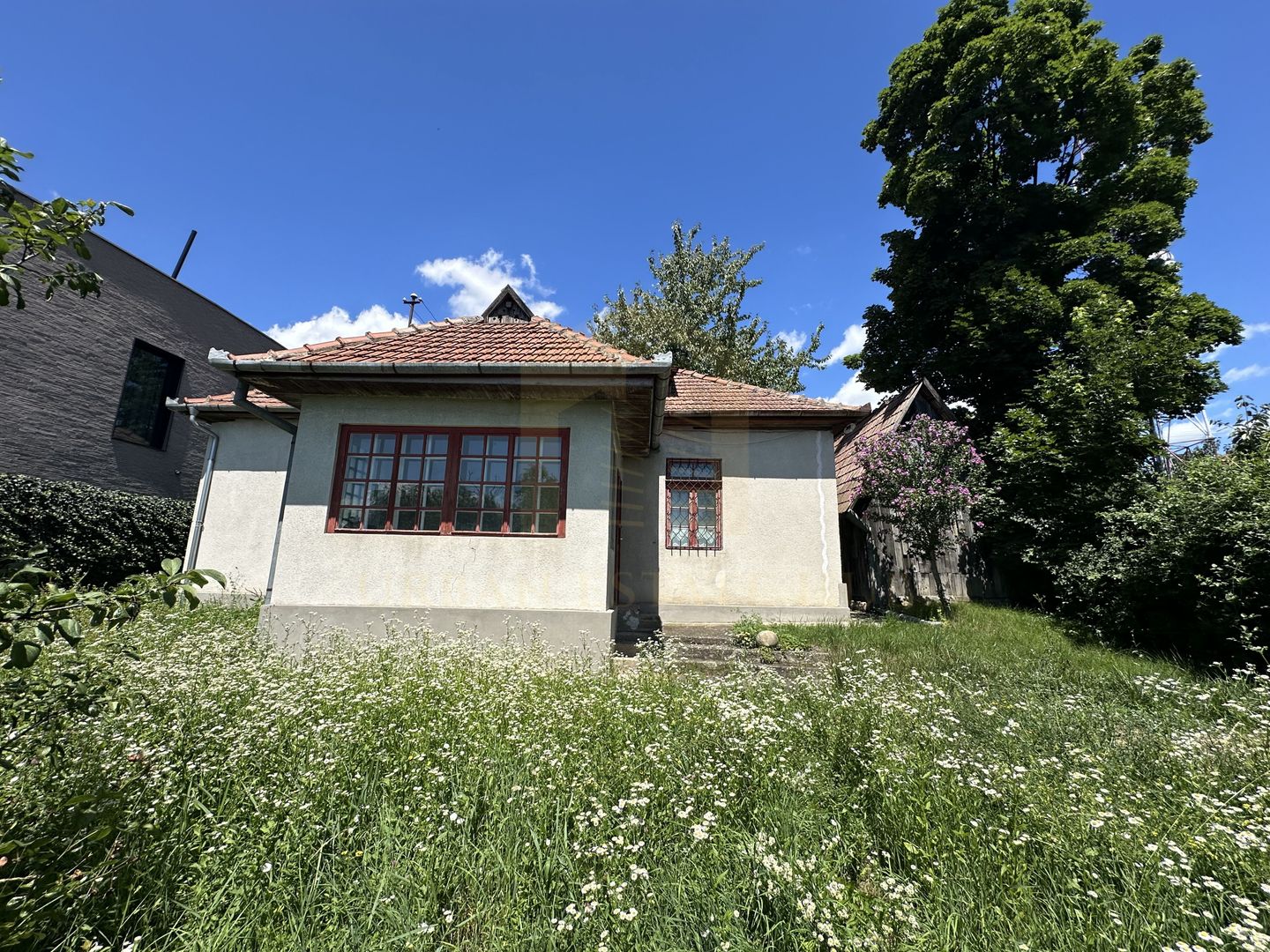 Vanzare teren 2387 mp, front 17,3 ml, Serpuitoare , Gruia - Poză 2