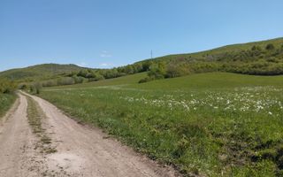 Teren 5400 mp-limita intravilan-2 deschideri-Sarata - Poză 3