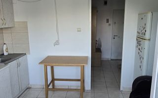 Apartament decomandat cu 1 cameră de închiriat – Păcurari, Alexandru cel Bun - Poză 8