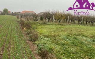 Parcela de teren Nojorid - Poză 6