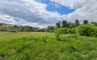 Teren intravilan Vladesti - Poză 9