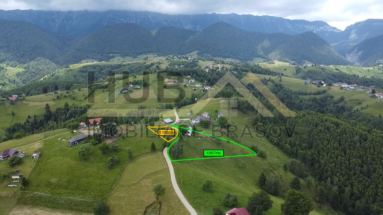 Oportunitate Investitie | Teren Pestera | 4.807mp | Utilitati Gaz/Curent - Poză 5