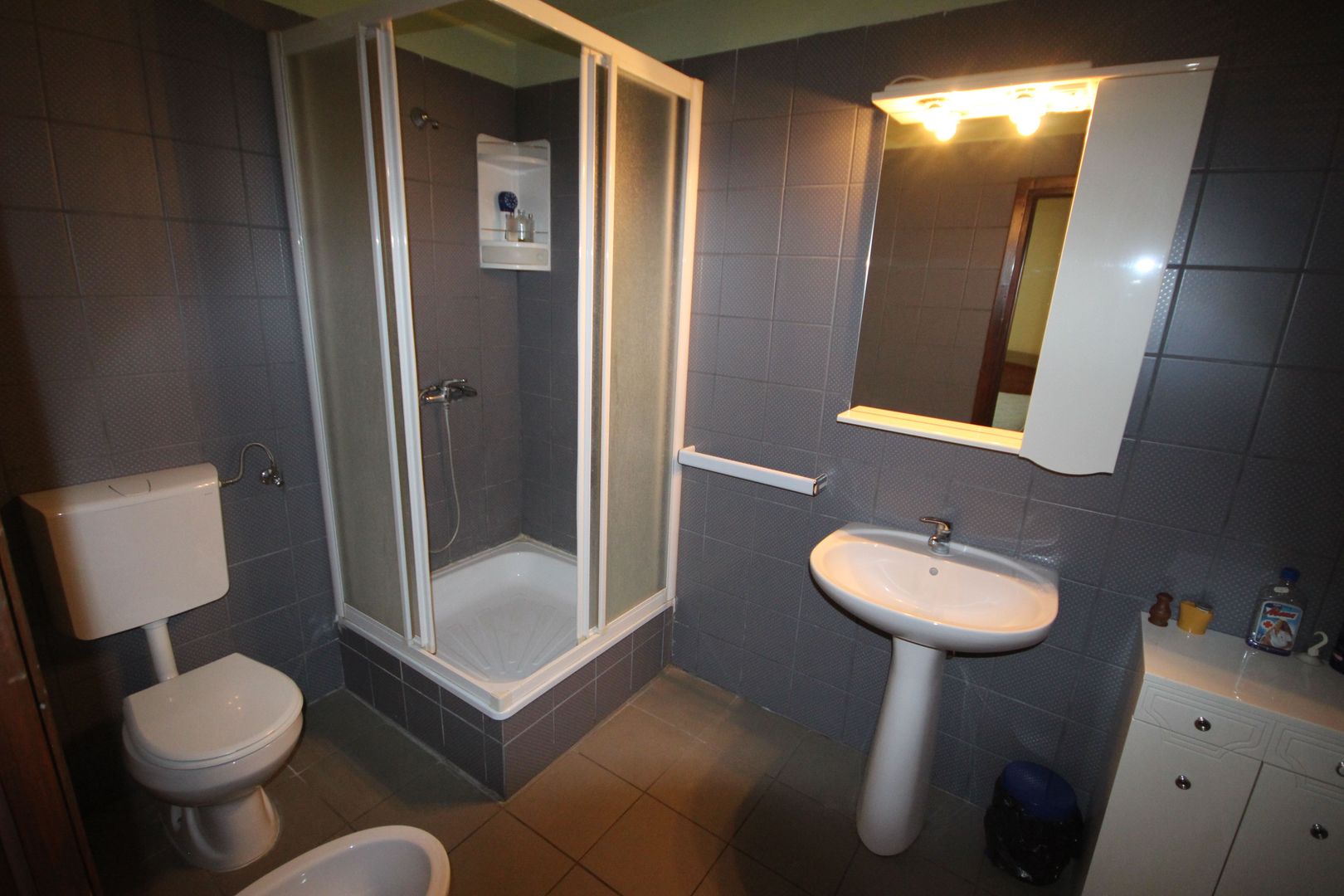 Imobil  cu destinatie mixta - Poză 26