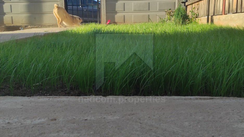 Vanzare Vila P+1 2023 - Popesti-Leordeni central - Poză 15