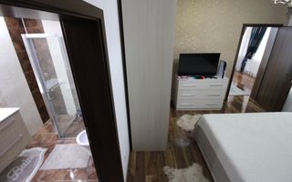 Sat Giroc, ideal pentru diverse afaceri sau pentru locuit. - Poză 26