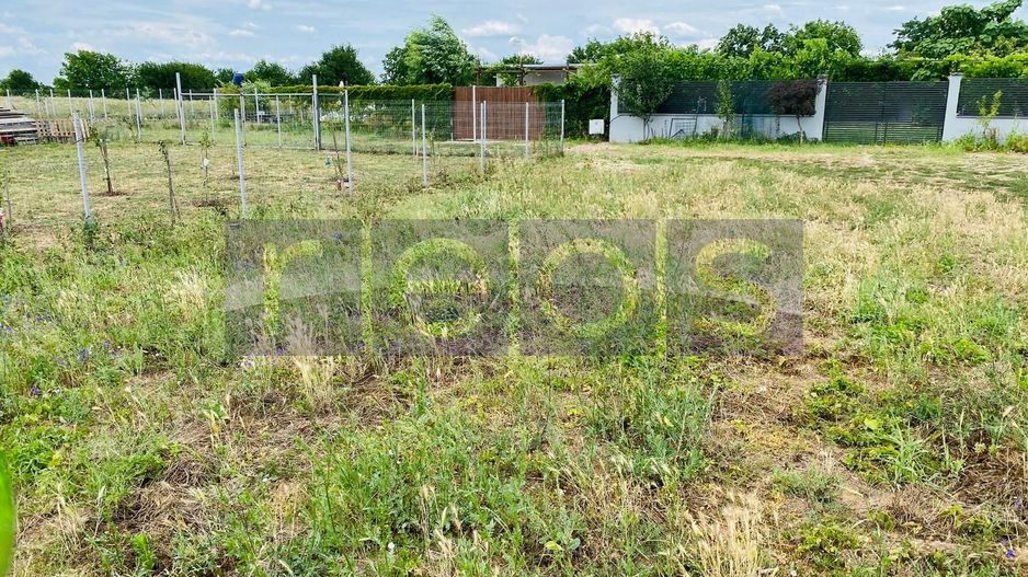 TEREN DE VANZARE CREVEDIA SAMURCASI 500 MP - Poză 2