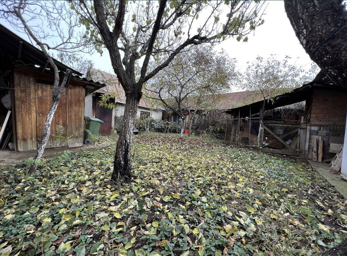 Casa de vanzare in Tasnad, SM oportunitate de investitie - Poză 11