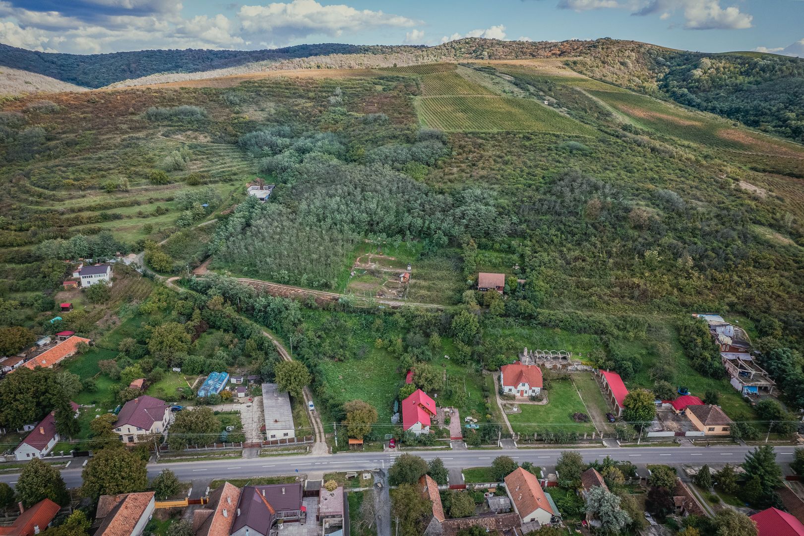 Teren de 1150 mp în Miniș - Poză 4