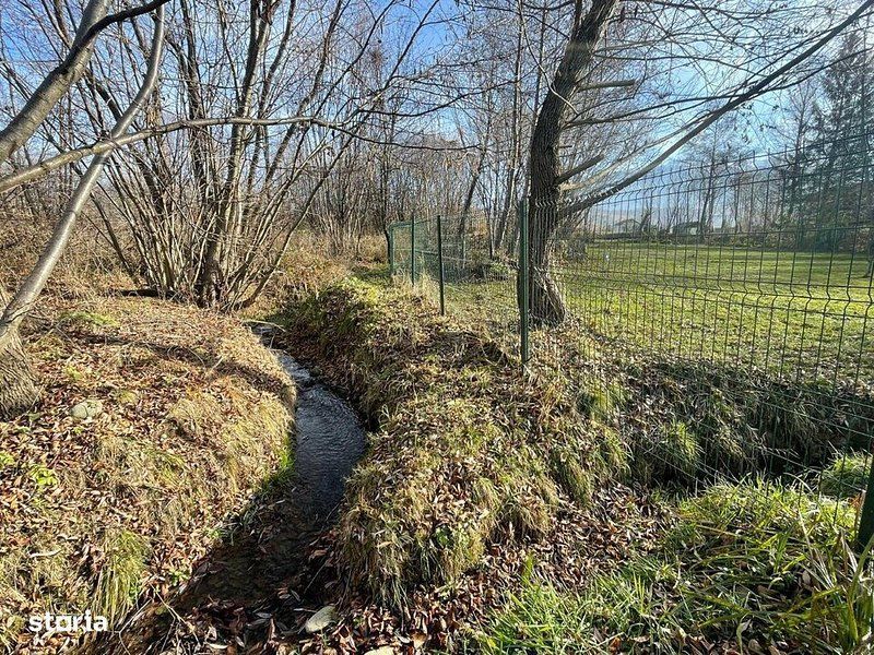 Teren 3349 mp de Vânzare | Bran – Panoramă Munții Bucegi - Poză 13