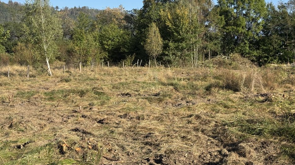 TEREN INTRAVILAN, CAMPULUNG,  2691 MP - Poză 25