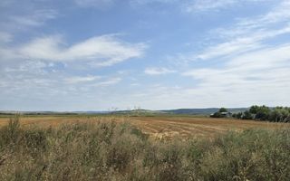 Teren intravilan– 50.000 mp, Bacău, Șoseaua Hol - Poză 7