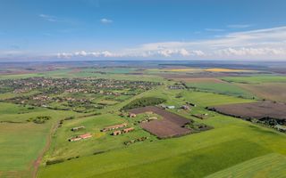 Teren de 69188 mp în Seceani - Poză 4