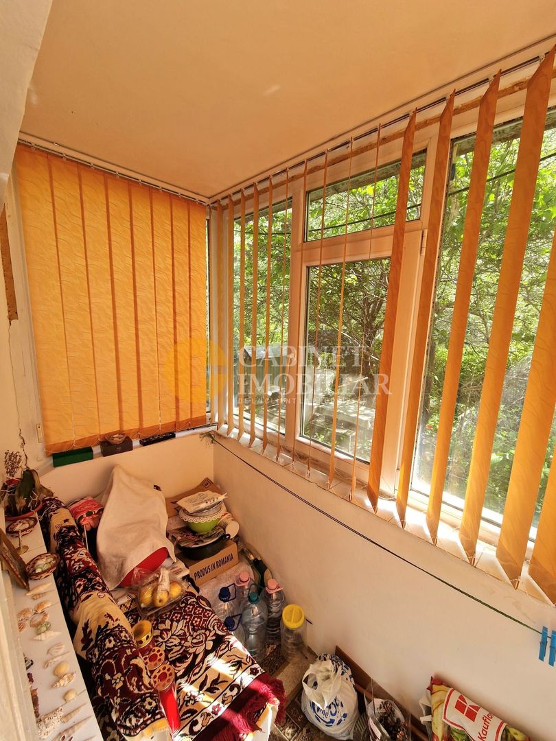 2 Camere Semidecomandat-Alexandru cel Bun - Poză 8