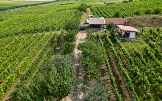 Vie Tradițională „Halta Lupilor” - Poză 44