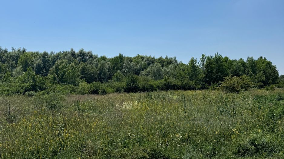Domnesti - Strada Salciei - Teren intravilan 500 mp x 2 loturi - Poză 6