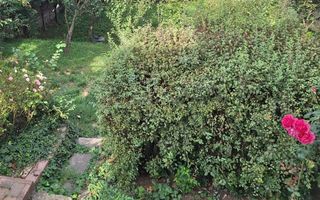 Casă de vânzare în cartierul Andrei Mureșanu, aproape de Centru - Poză 1