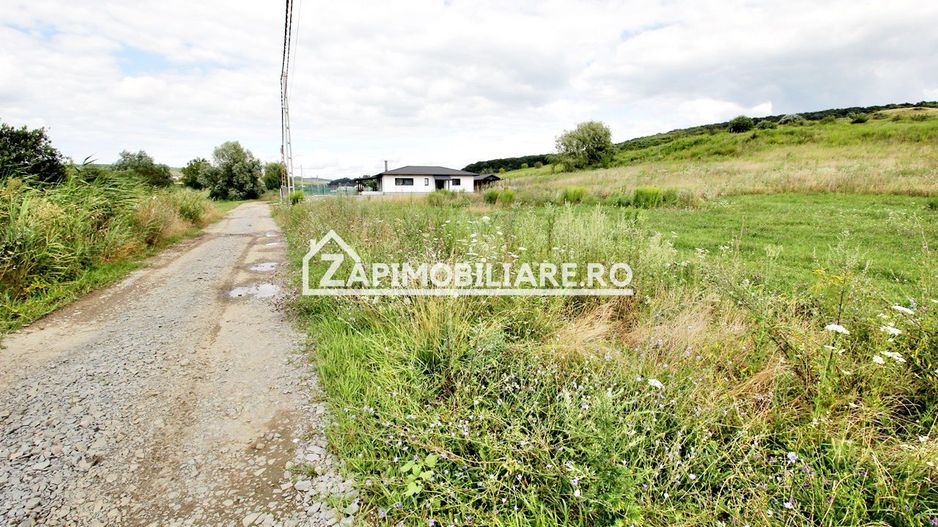 Teren 6.800mp teren cu deschidere de 100 m la drum asfaltat - Poză 4