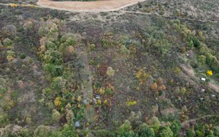 Teren 18,300mp Ghioroc - Poză 10