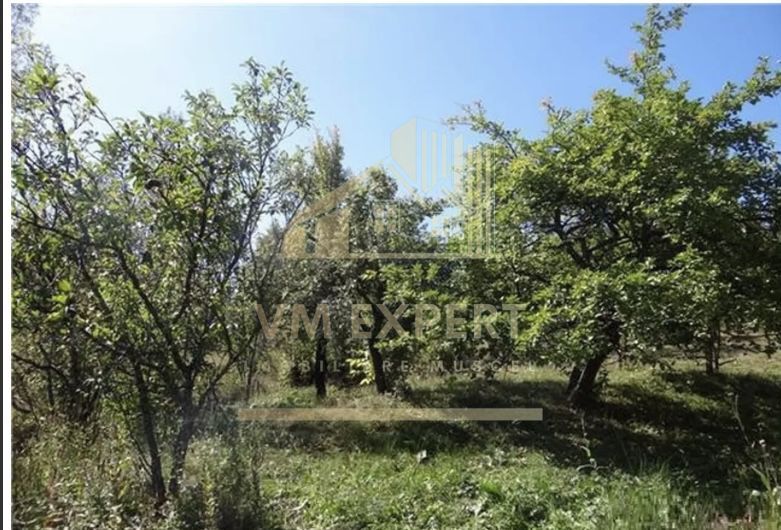 TEREN INTRAVILAN 600 MP, LERESTI, ARGES - Poză 2