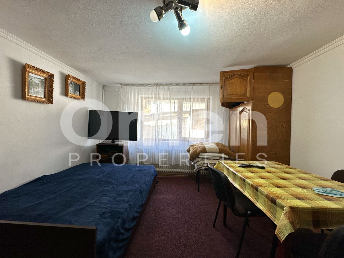 Casa de vanzare Viile Apei - Poză 7