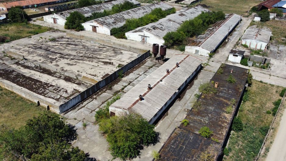 Spațiu industrial -fermă Orțișoara - Poză 16