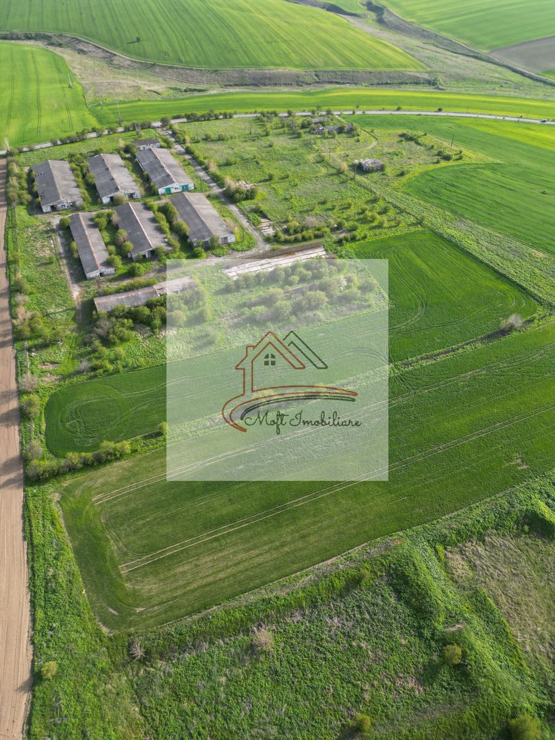 Oportunitate Investiție – Fermă 9,5 Ha cu 10.000 mp Construcții - Poză 4