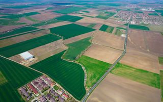 Teren extravilan între Arad și Zimand - Poză 2