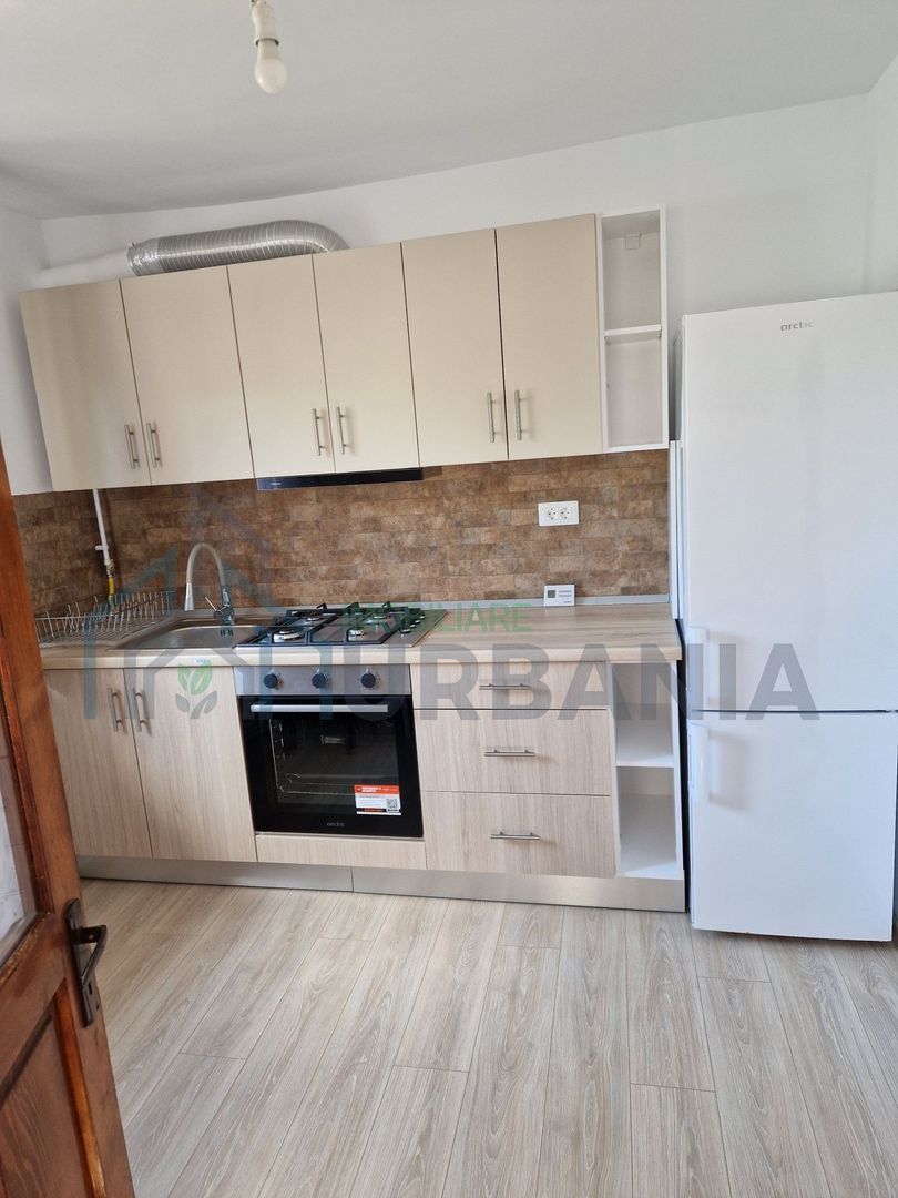 Casă de închiriat cu 4 camere, zona Bucium - Plopii fără Soț, Vladiceni - Poză 1