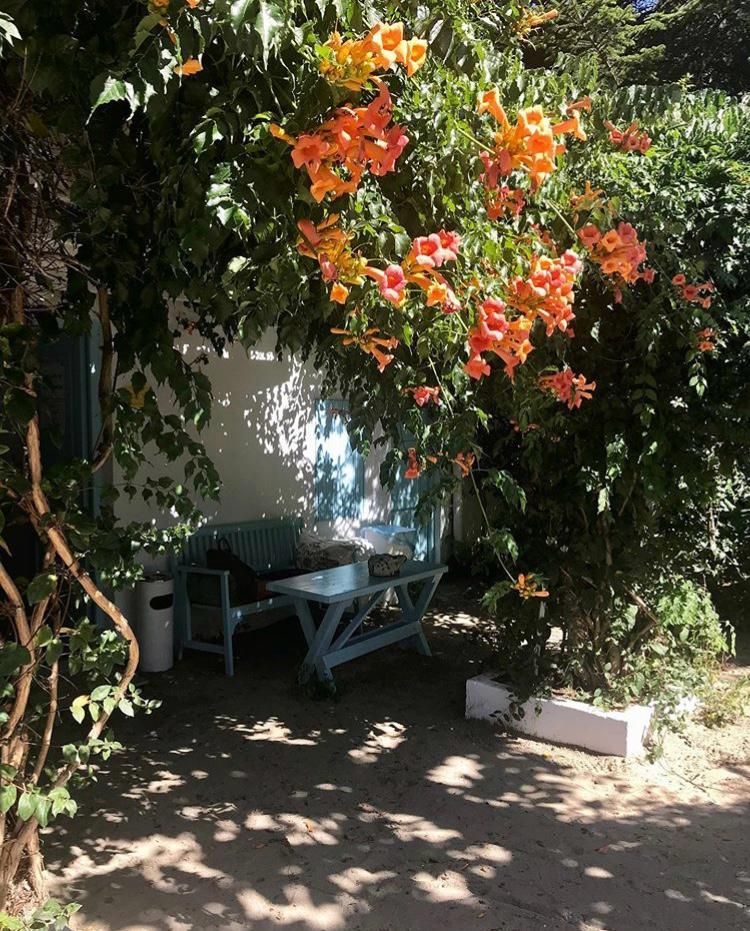 Hotel Boutique cu 50 camere de vanzare in 2 Mai/Constanta - Poză 18