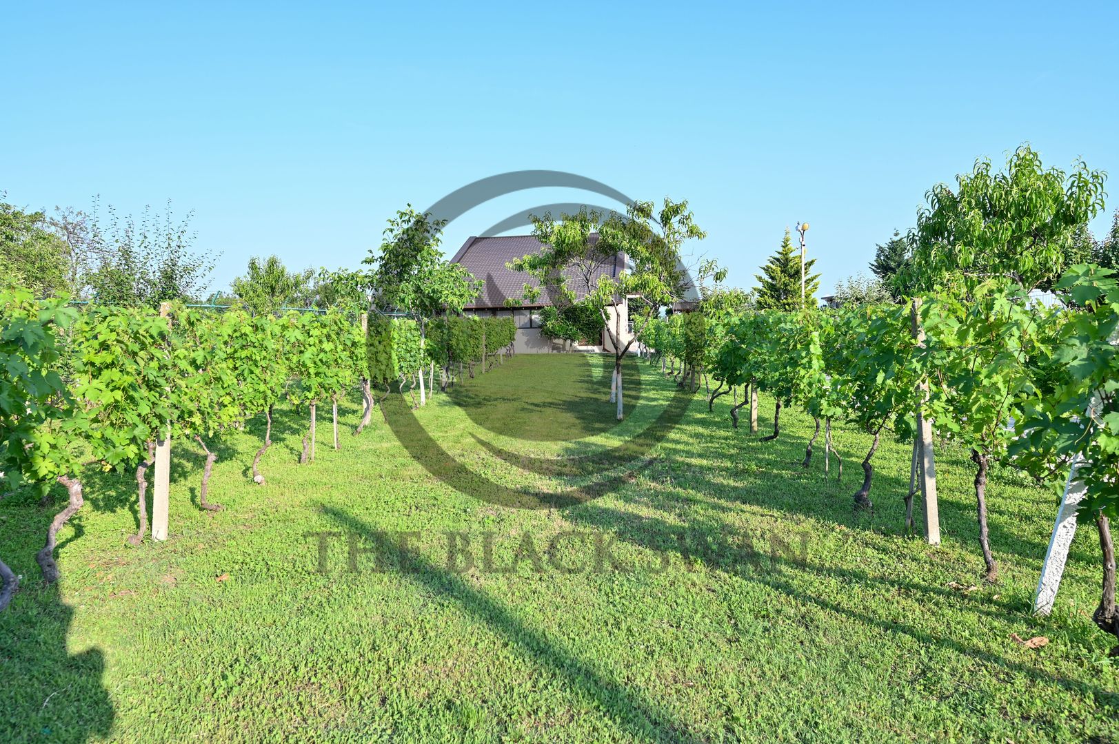 Casa cu piscina de vanzare | 3.300 mp teren | Urlati - Prahova - Poză 21