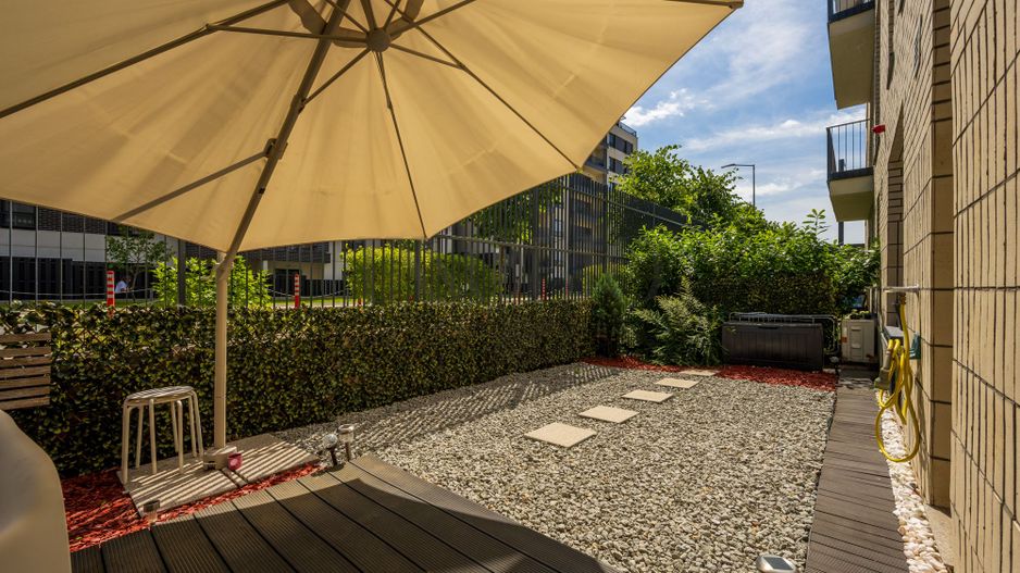 Studio Modern | Gradina Proprie | Avalon Estate - Poză 9