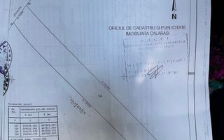 Teren intravilan 1.000 mp | Lângă Balta Pasărea | 20 de min de București - Poză 2