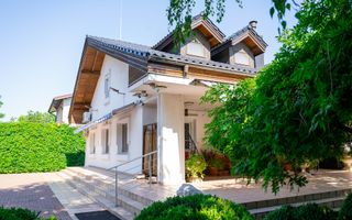 REȘEDINȚĂ DE EXCEPȚIE ÎN OTOPENI | 2.800 MP TEREN | ELEGANȚĂ, ARTĂ ȘI INTIMITATE - Poză 9