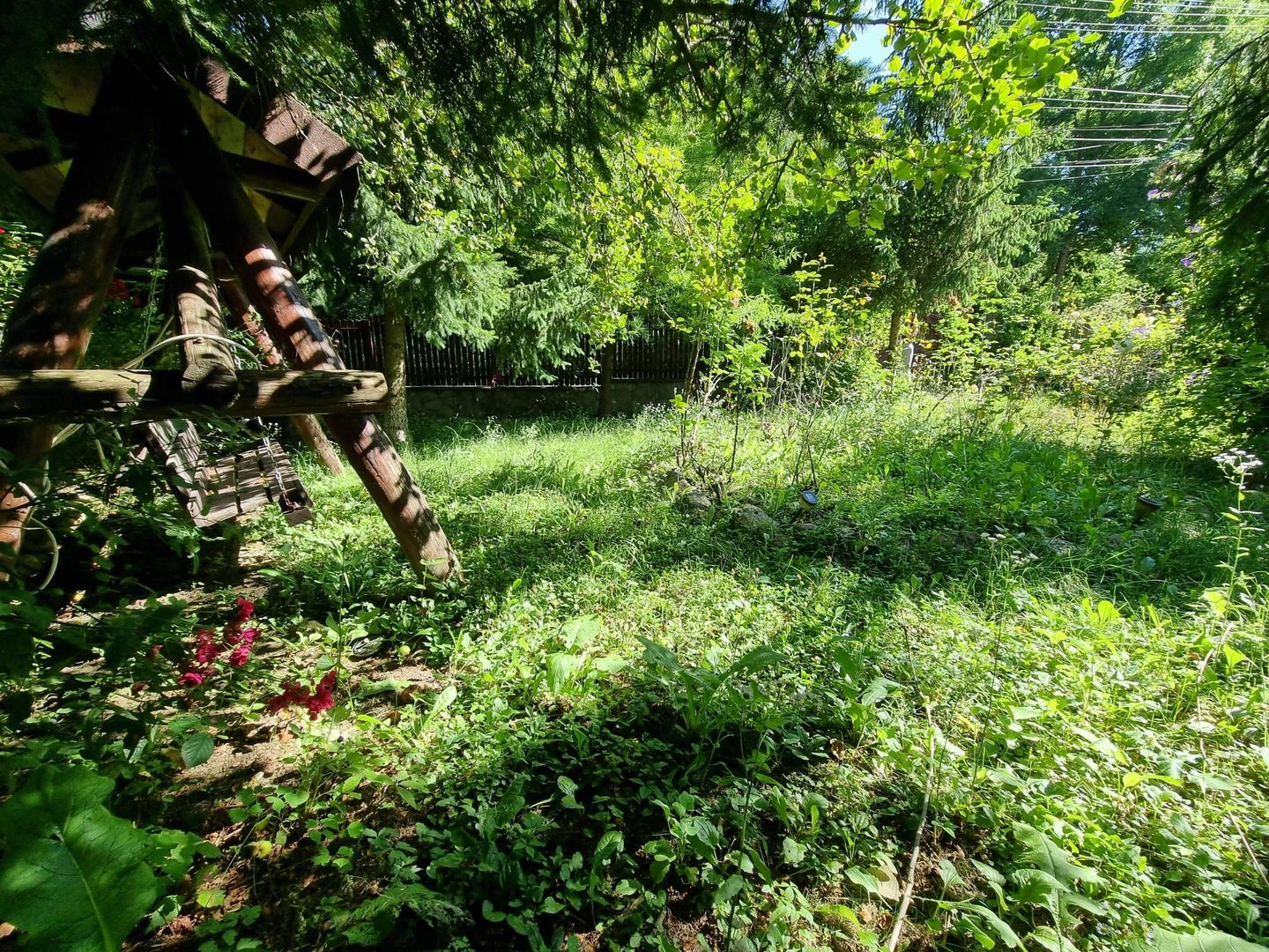 Casa de la marginea padurii! - Poză 7