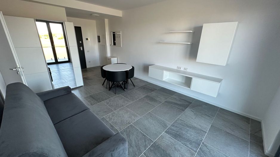 Apartament 1 camere Torontalului - Veterinary Faculty - Poză 4