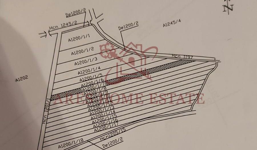 Teren 5.000 mp centura Calea Sagului- Freidorf. Comision 0 - Poză 6