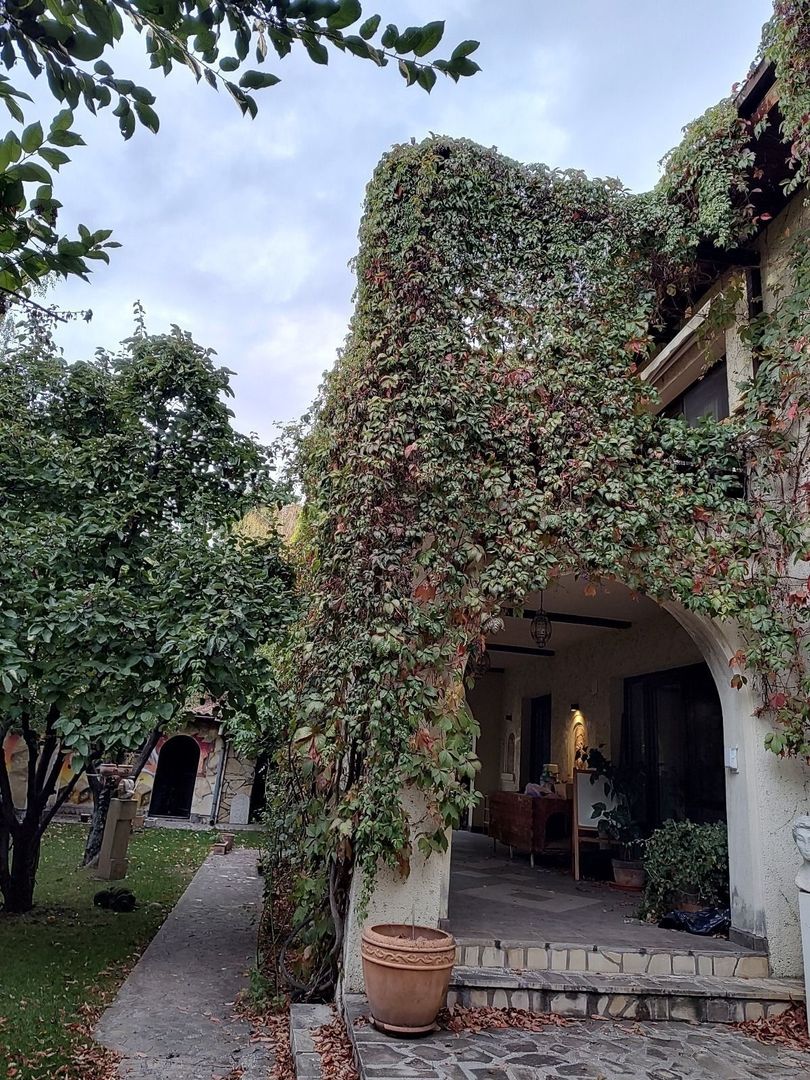 Vila mediteraneană cu farmec neo-românesc, în liniștea eleganta din Iancu Nicola - Poză 3