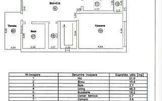 Casa eleganta si luminoasa, situata in zona de case - Mehala - Poză 43
