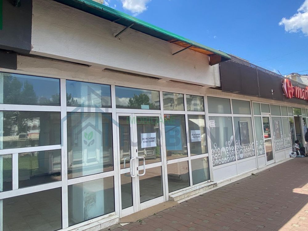 Spațiu Comercial de 45 mp în Piața Voievozilor, Alexandru cel Bun - Poză 1