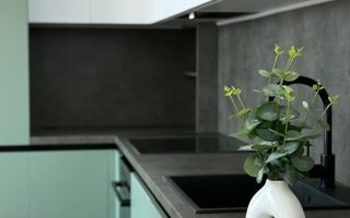 Apartament la cheie / doua camere / Zona Terra - Poză 8