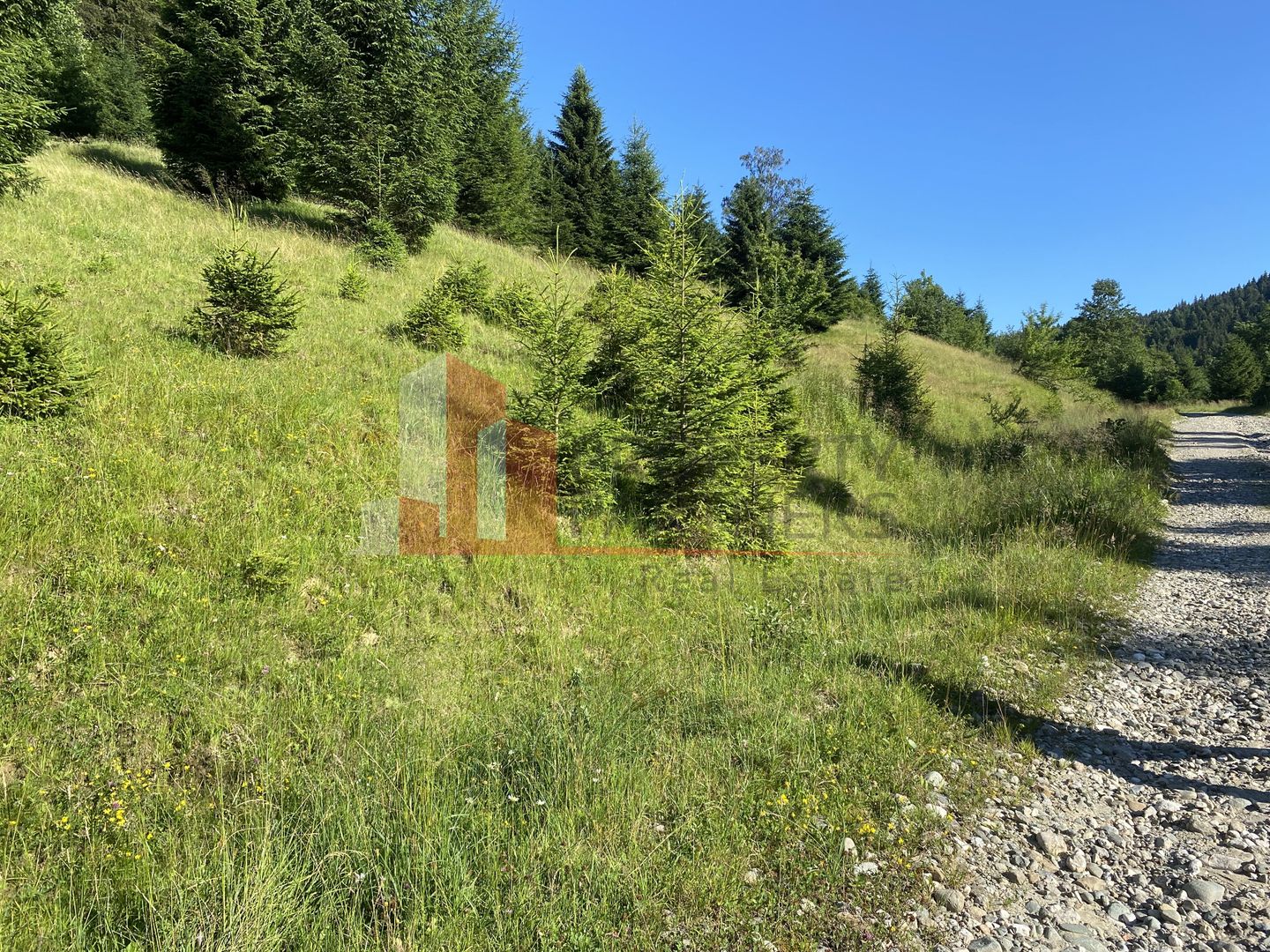 Teren 14400 mp la iesire din Rasnov inspre Pârâul Rece-Trei Brazi - Poză 14