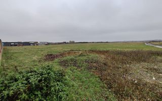 Teren 4588 mp, Remetea Mare Comision 0% - Poză 5