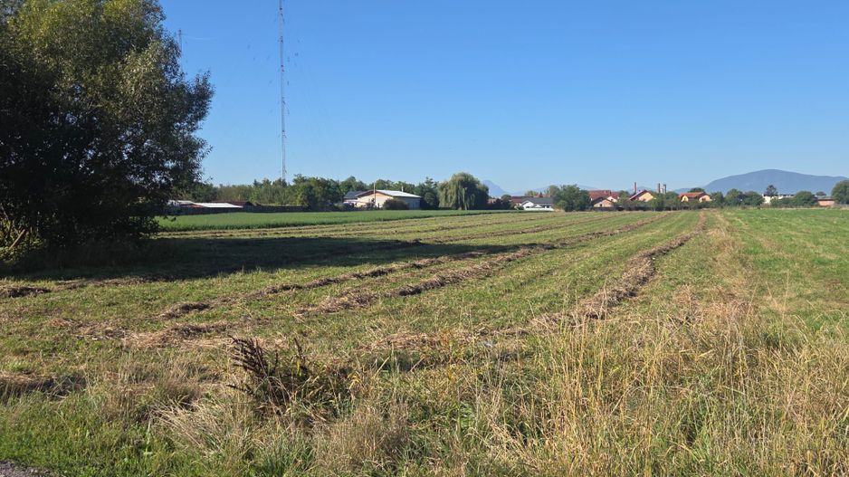 Teren Bod Colonie,strada Lalelelor - Poză 3