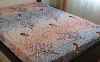 Apartament 3 camere de închiriat în zona Bicaz Dacia, Iași - Poză 4