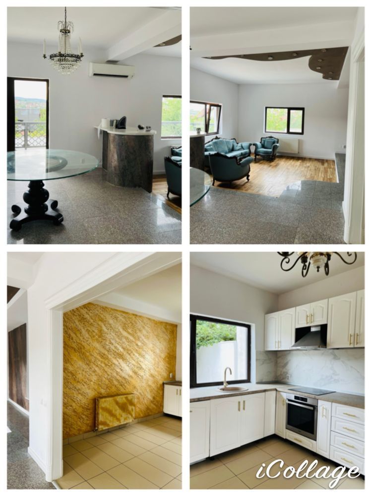 Vila Plopii fara sot, Bucium - Proprietar - Poză 5