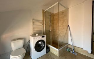 Apartament open-space tip loft , Grigorescu, pet-friendly - Poză 8