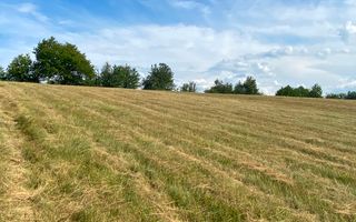 Teren Intravilan | 17.500 mp | Șinteu | Bihor - Poză 3